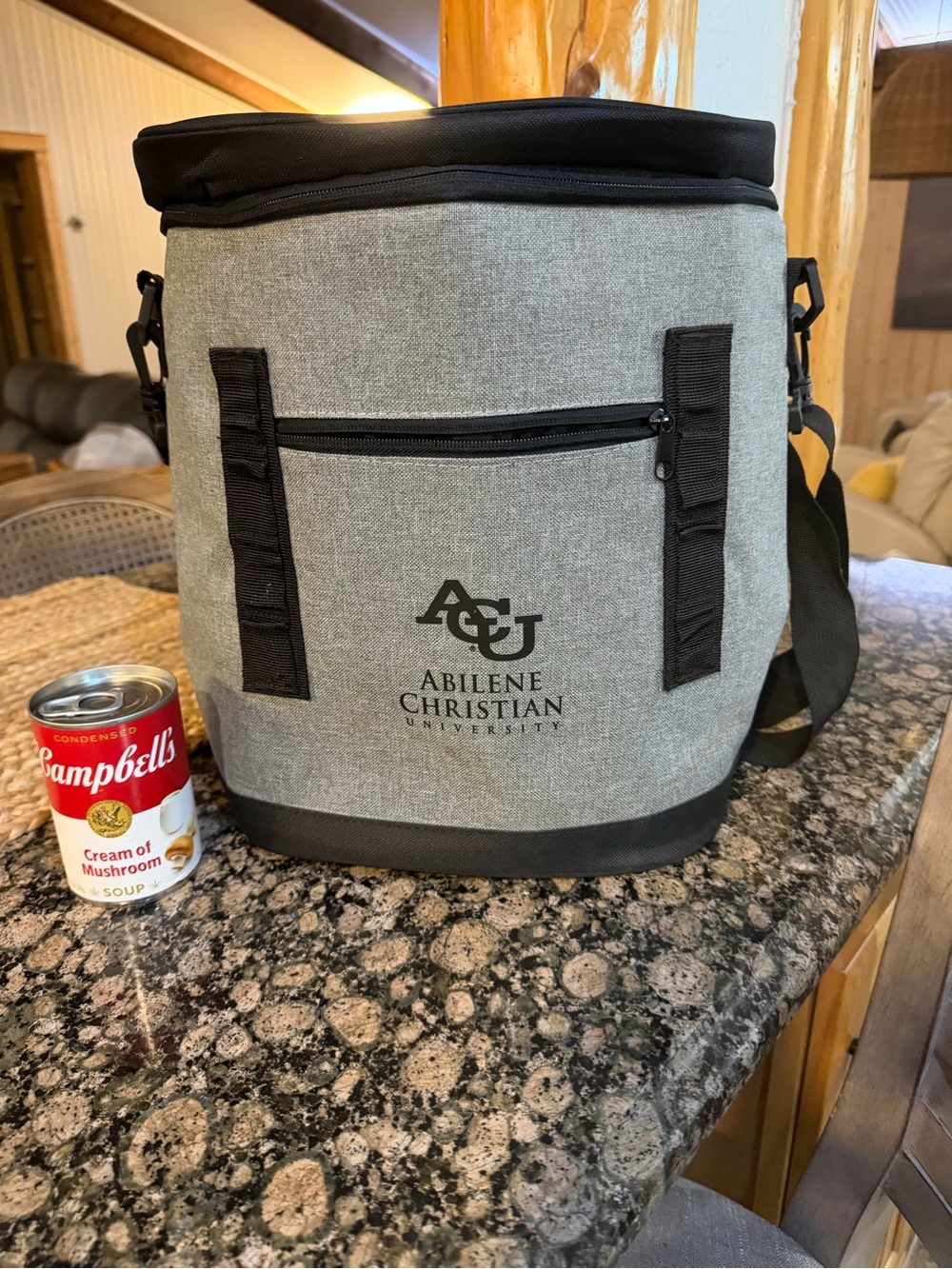 Gray Insulated Toiletry Cooler Bag